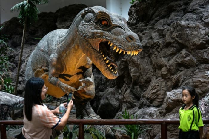 Thailand’s ‘Jurassic Park’ shines light on dinosaur evolution - Bangkok Post