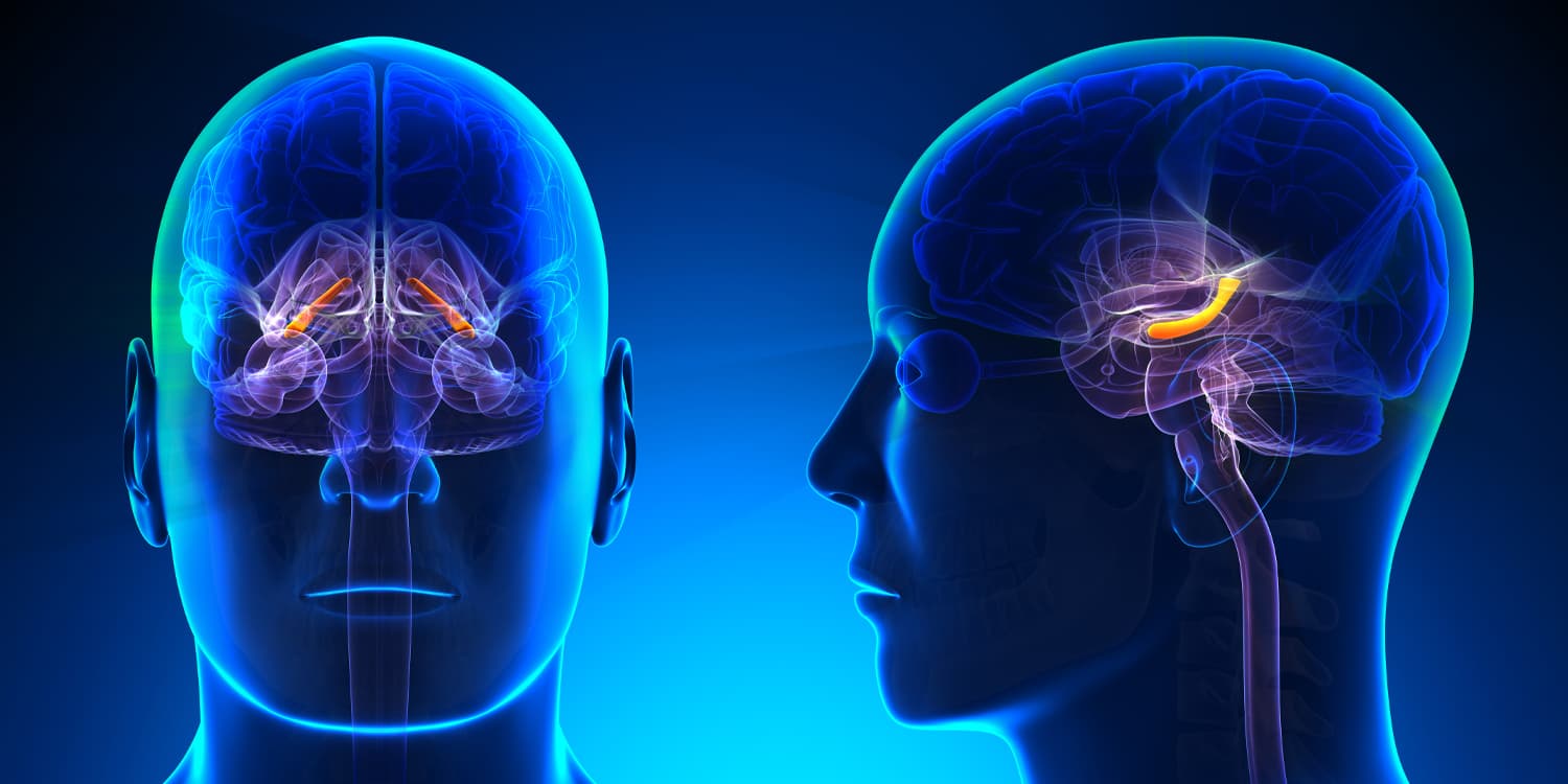 The surprising reason our memories become blurred as we age, according to new neuroscience research - PsyPost