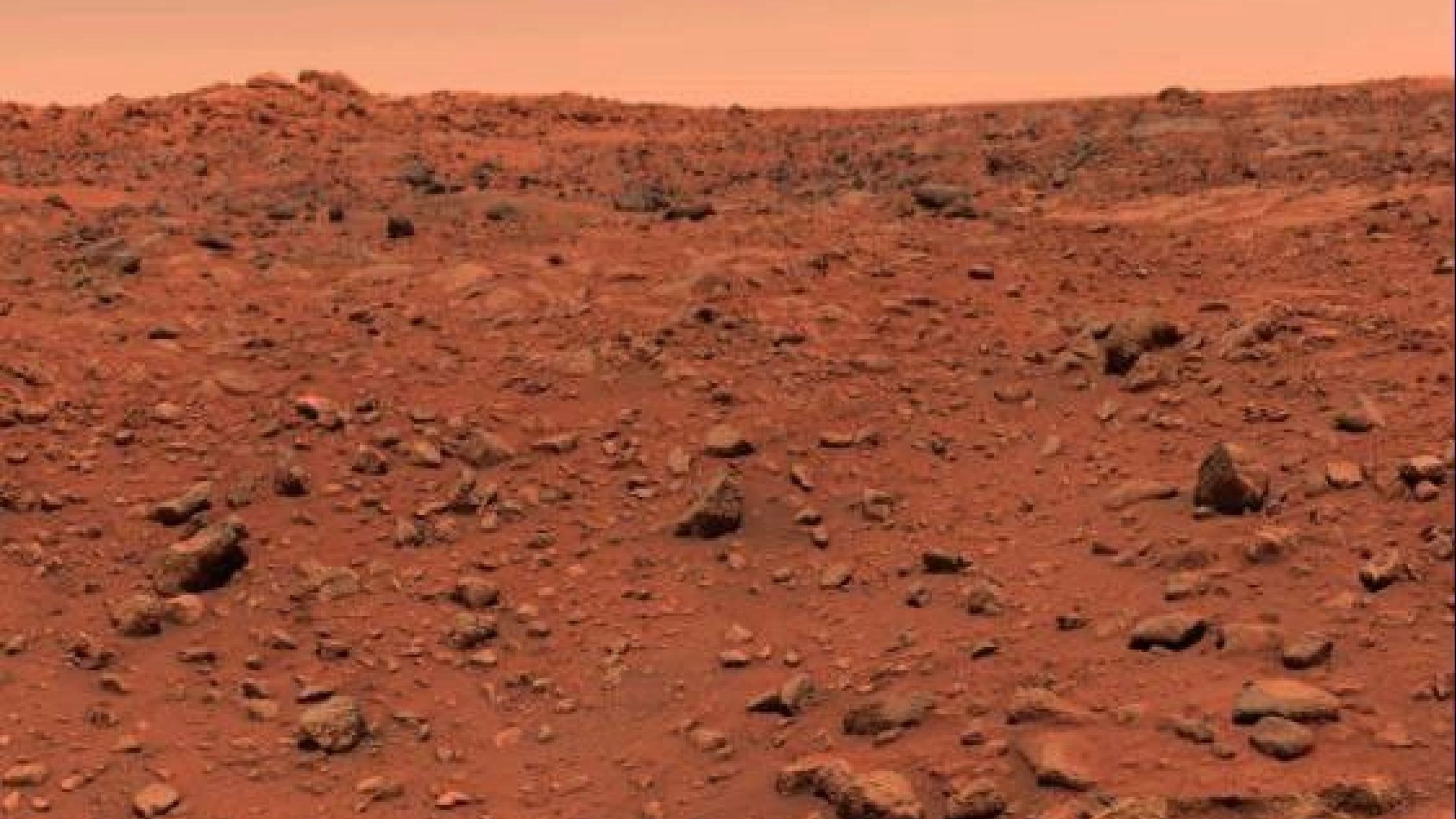 Did Viking 1 find life on Mars 50 years ago? Here's why the debate continues - Space