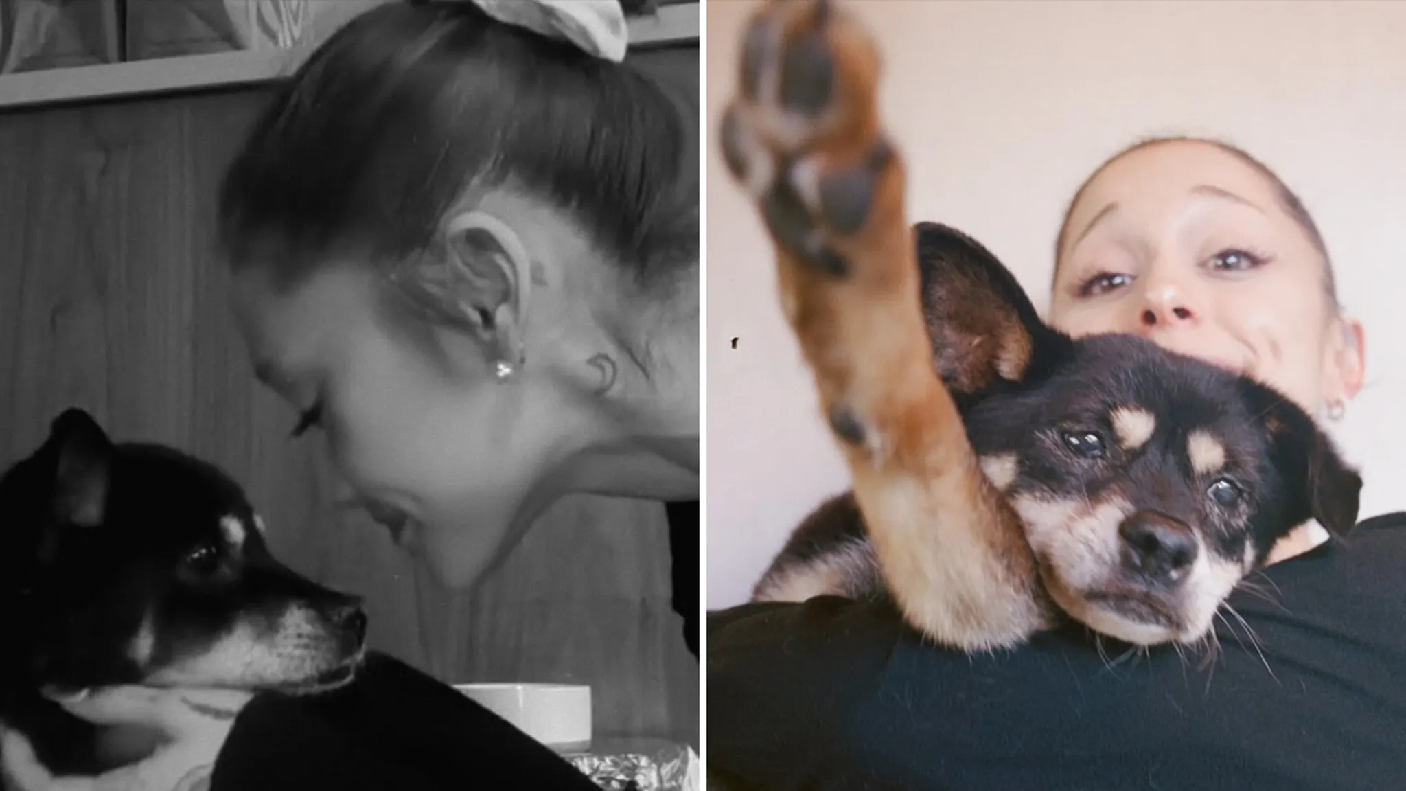 Ariana Grande's Dog Coco Dead at 17 - TMZ