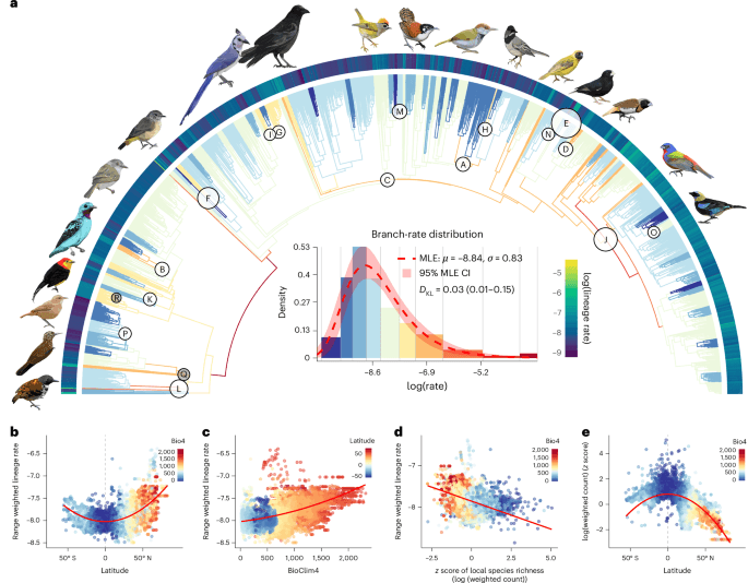 Rates of passerine body plan evolution in time and space - Nature