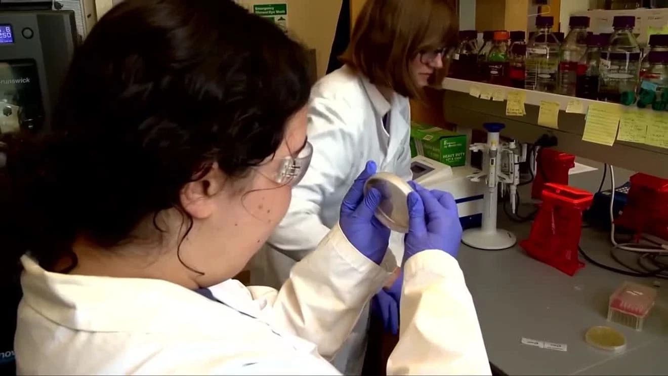 ‘It was very surreal,’ UNC Asheville researchers make a discovery in drug-resistant staph - WLOS